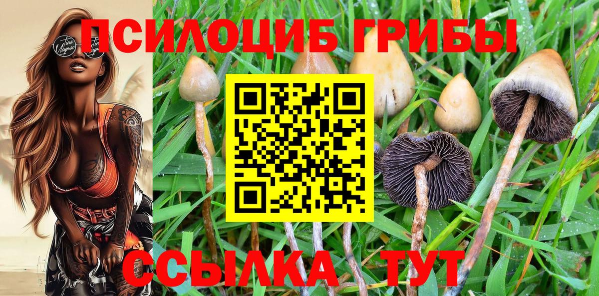 Псилоцибиновые грибы мухоморы Зерноград