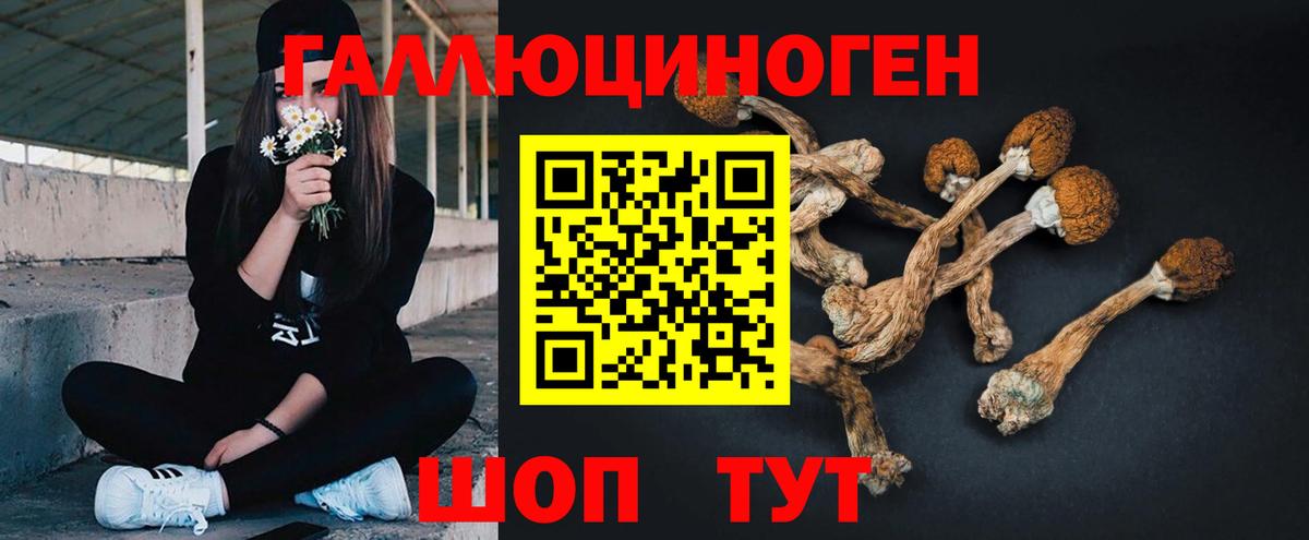 Псилоцибиновые грибы Magic Shrooms  Вход с VPN  как найти наркотики  Галлюциногенные грибы мицелий  Зерноград 